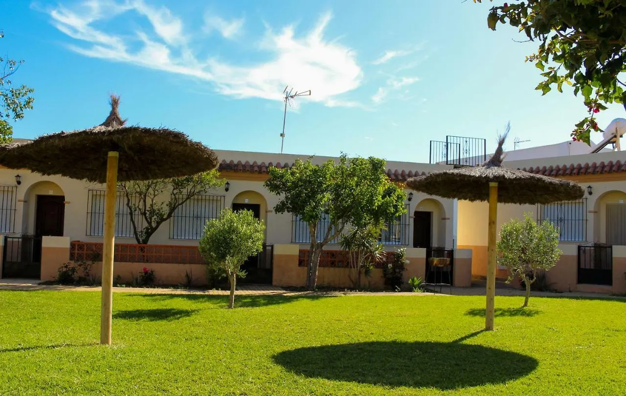 Apartamentos Bellavista Bolonia contacts